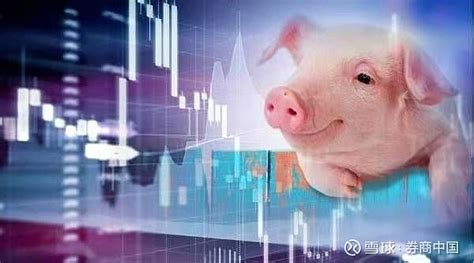 中央和国家发改委谈猪价