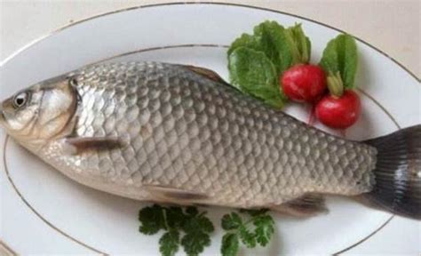中年女人梦见吃鱼是什么预兆