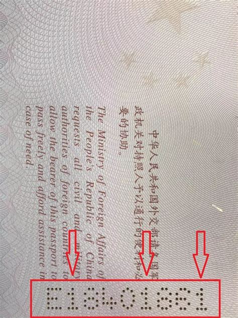 丹麦护照号码怎么看