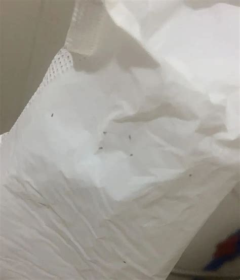 为什么在卫生巾里放虫子