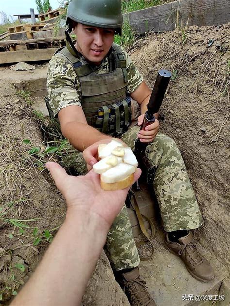 乌军误把俄军当队友挖了三天战壕
