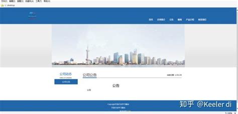 乐山门户网站开发公司