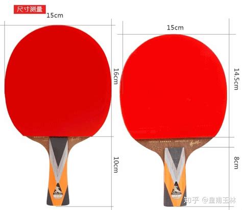乒乓球拍各种底板区别