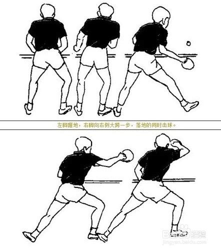 乒乓球的基本步法有几种并说明