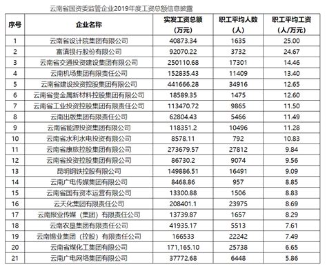 云南省大型国企名单