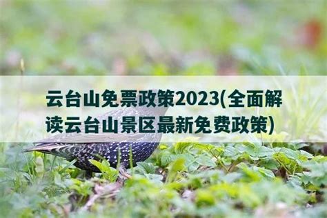 云台山免票政策2023