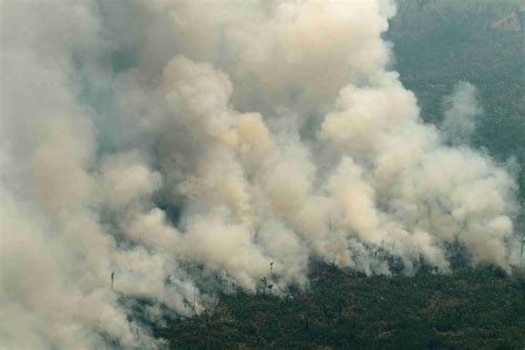 亚马逊森林火灾如何扑灭