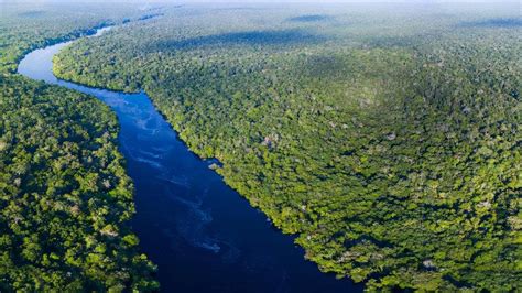 亚马逊河为什么被称为人类禁地