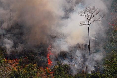 亚马逊热带雨林森林火灾