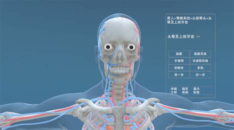 人体医学模拟器