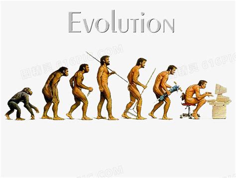 人类进化史的奥秘