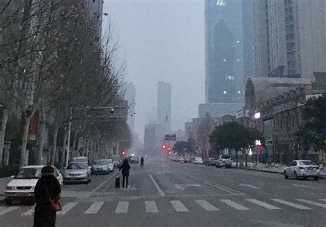 今天的上海冷空气