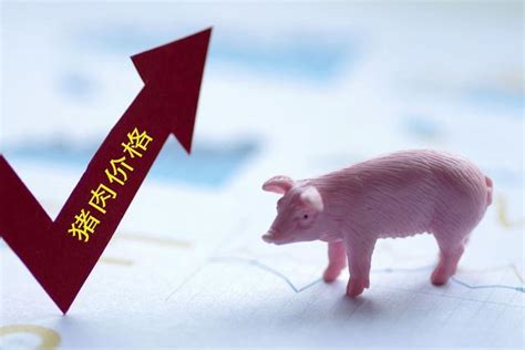今日全国生猪最新价格上涨
