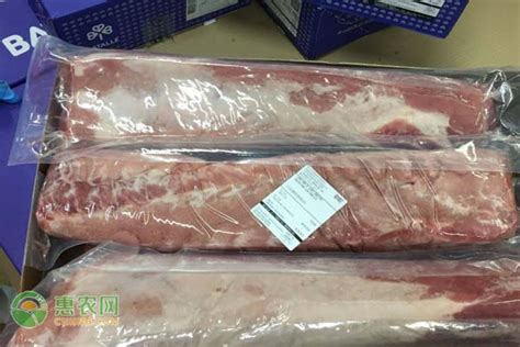 今日鲜猪肉价格