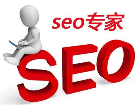泰安seo企业网站优化图片