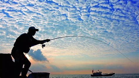 休闲渔业资讯平台