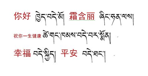 你好用藏语怎么说