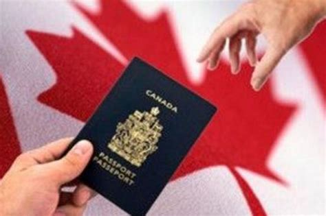 保定加拿大工作签证