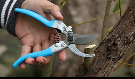 修剪树枝的专用工具电动
