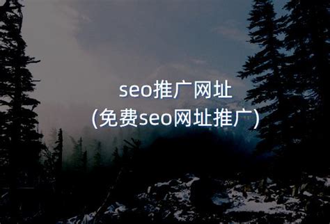 免费的seo网址广告