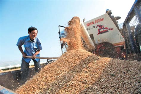 全国三夏麦收进度过半中国农民报