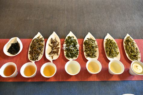 六种青茶有什么功效