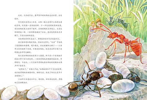 关于昆虫的作文350字小学四年级