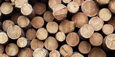 关于木材价格的app