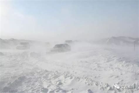 内蒙古哪儿发生暴风雪最厉害
