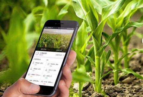 农业技术推广信息平台