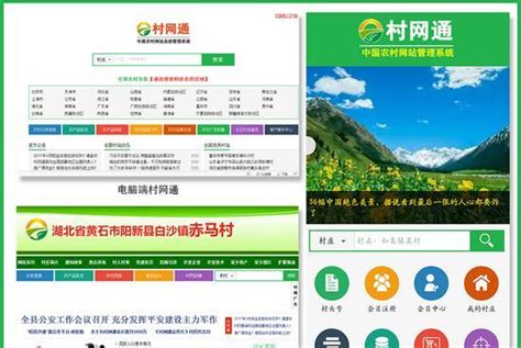 农村网站推广公司