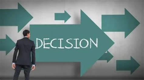 决策方案选择和优化时,应坚持的原则主要有哪些?