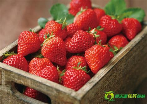 冻草莓可以保存多久