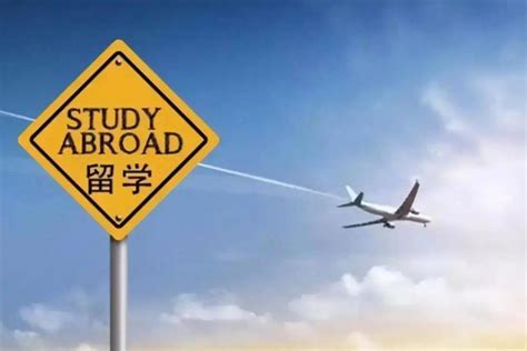出国留学在哪个网站查询
