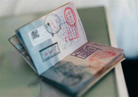 出国签证进度查询