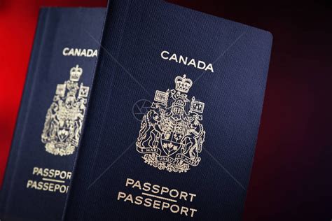 加拿大护照身份识别