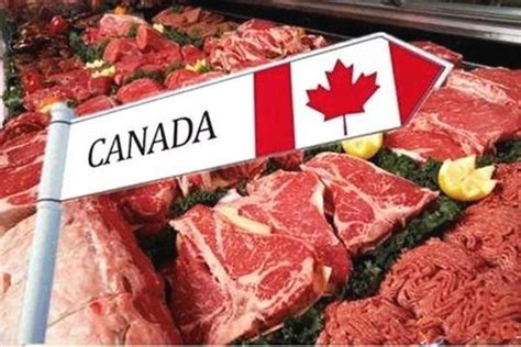 加拿大猪肉