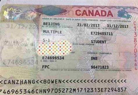 加拿大签证怎样电子签名