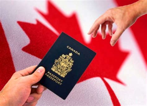 加拿大签证父母在职证明模版图片
