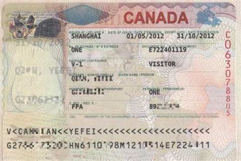加拿大签证档案怎么找