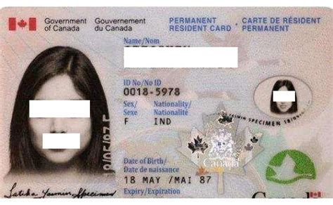 加拿大驾照公证书