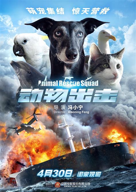 动物出击电影免费观看国语版