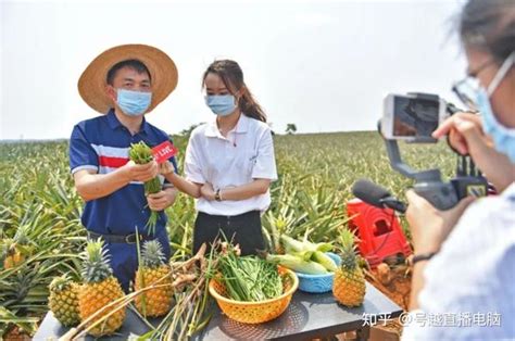 北京农产品网络推广多少钱