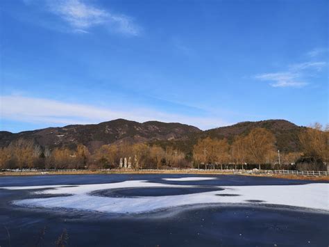 北京植物园冬季