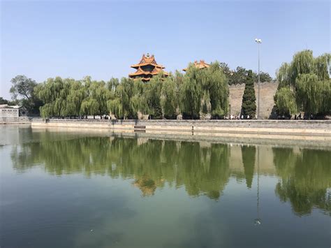 北京植物园在北京什么位置
