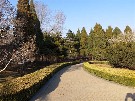 北京植物园怎么走最方便