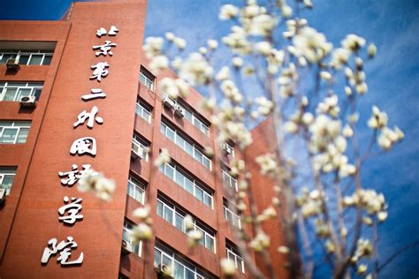 北京第二外国语学院毕业就业岗位