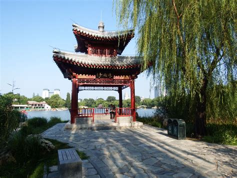 北京紫竹院公园扫黄