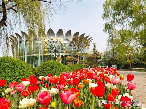 北京花卉大观园观后感