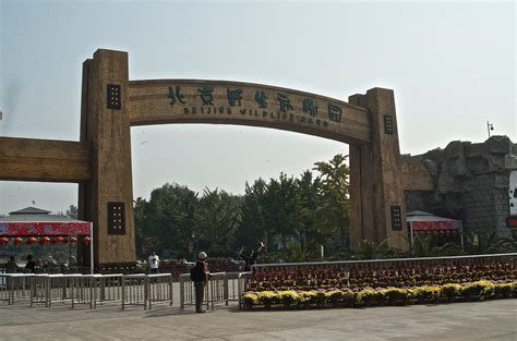 北京野生动物园是大兴还是八达岭